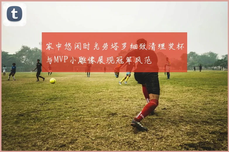 家中悠闲时光劳塔罗细致清理奖杯与MVP小雕像展现冠军风范