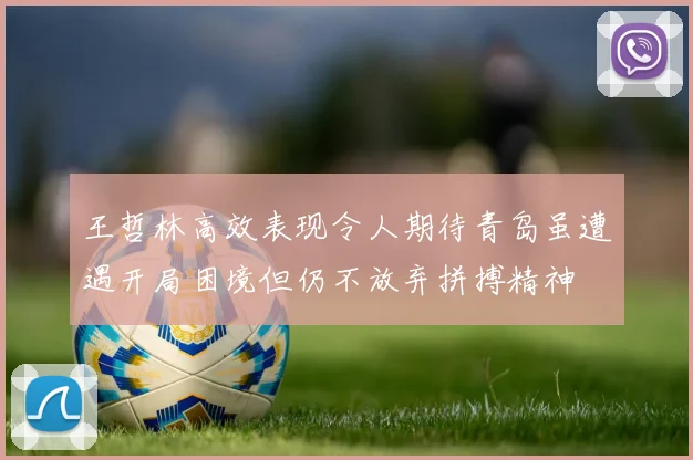 王哲林高效表现令人期待青岛虽遭遇开局困境但仍不放弃拼搏精神