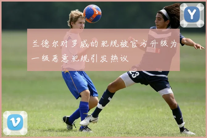 兰德尔对罗威的犯规被官方升级为一级恶意犯规引发热议
