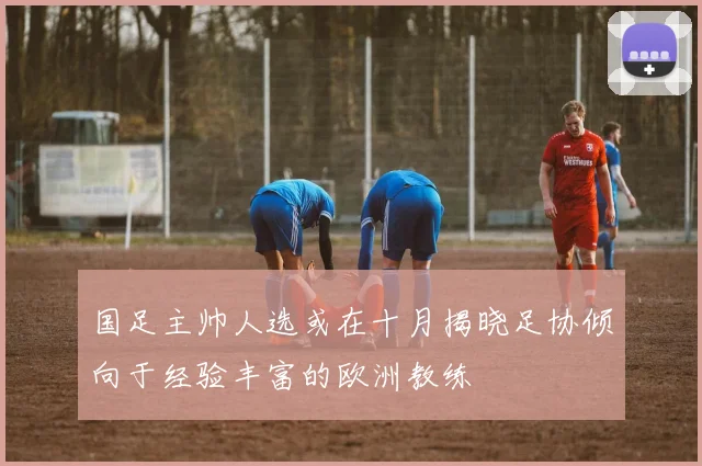 国足主帅人选或在十月揭晓足协倾向于经验丰富的欧洲教练